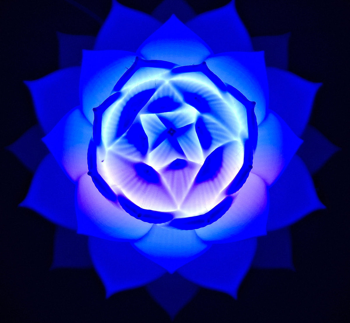 Beleuchtete Lotusblüte Weiß – Filigrane LED-Dekolampe aus 3D-Druck